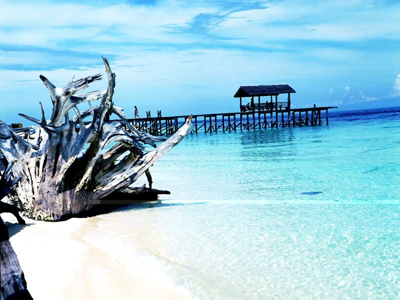 We're havin some fun now, mon... take a break your own self while we load up this big, pretty image for ya'.